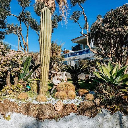 Appartamenti Ischia Casa Don Peppe Forio di Ischia Buitenkant foto