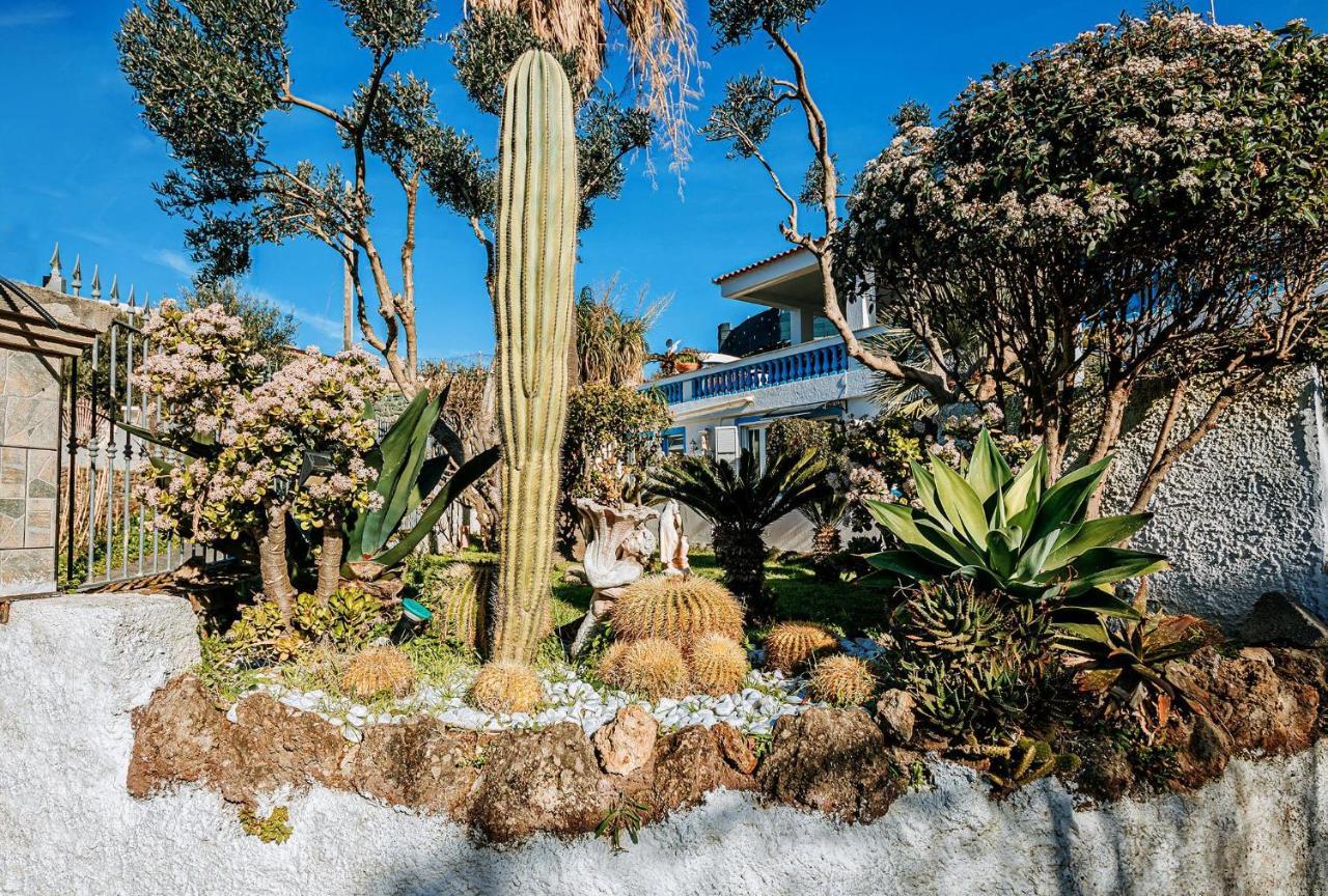 Appartamenti Ischia Casa Don Peppe Forio di Ischia Buitenkant foto